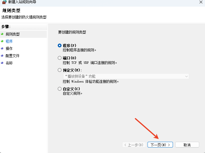 Select the Program rule type